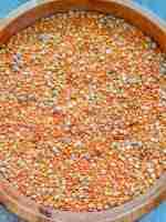 Natural Autumn Sensory Bin - Image 9