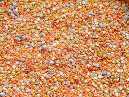 Natural Autumn Sensory Bin - Image 9