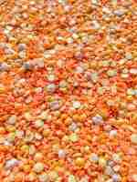 Natural Autumn Sensory Bin - Image 8
