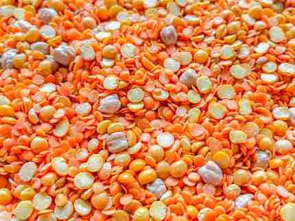 Natural Autumn Sensory Bin - Image 8