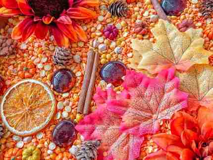 Natural Autumn Sensory Bin - Image 7