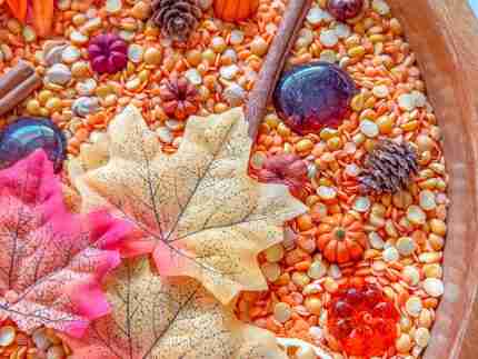 Natural Autumn Sensory Bin - Image 5