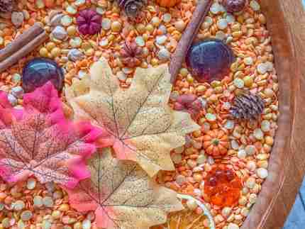 Natural Autumn Sensory Bin - Image 4