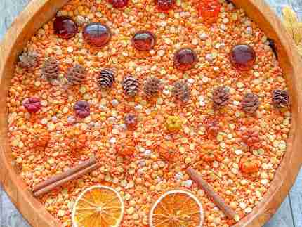 Natural Autumn Sensory Bin - Image 3