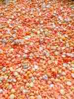All Natural Autumn Sensory Filler - Image 6