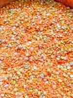 Natural Autumn Sensory Bin - Image 10