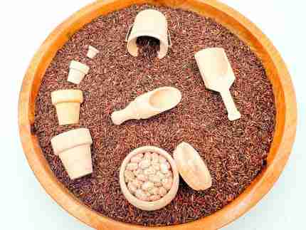 Planting Flowers Sensory Bin - Image 7