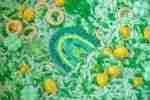 St. Patrick's Day Deluxe Filler - Image 9
