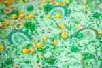 St. Patrick's Day Deluxe Filler - Image 8