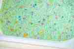 Spring Sensory Rice - Light Green