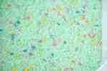 Spring Sensory Rice - Light Green
