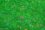 Flower Field Sensory Spring Filler - Image 6