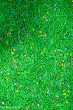Flower Field Sensory Spring Filler - Image 7