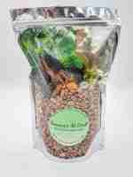 Dinosaur Budget Bag-7