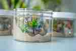 Dinosaur Playdough Jars - Image 13