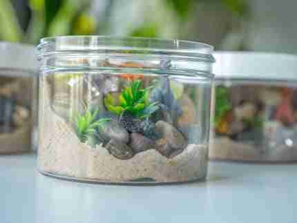 Dinosaur Playdough Jars - Image 13