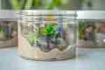 Dinosaur Playdough Jars - Image 12