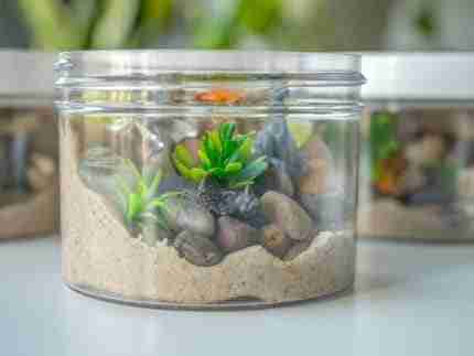 Dinosaur Playdough Jars - Image 12