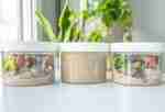 Dinosaur Playdough Jars - Image 11
