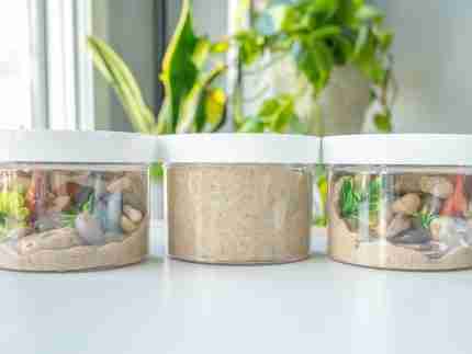 Dinosaur Playdough Jars - Image 11