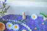 Lavender Field Sensory Bin - Image 6