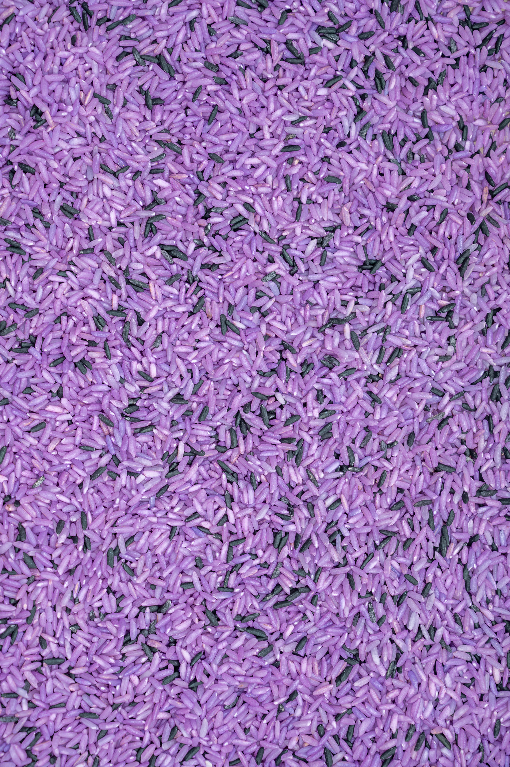 Witch Halloween Sensory Bin-1 Witch's Brew Sensory Rice - Image 1