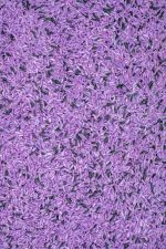 Witch's Brew Sensory Bin - Image 9