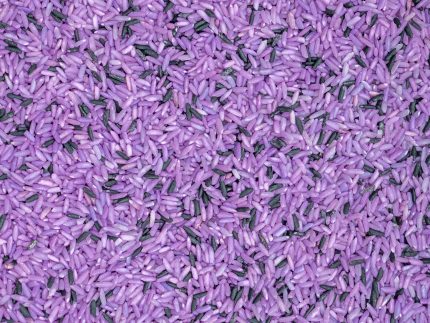 Witch's Brew Sensory Bin - Image 9