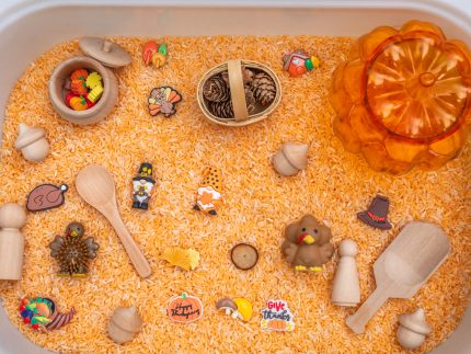 Thanksgiving Sensory Bin - Image 8