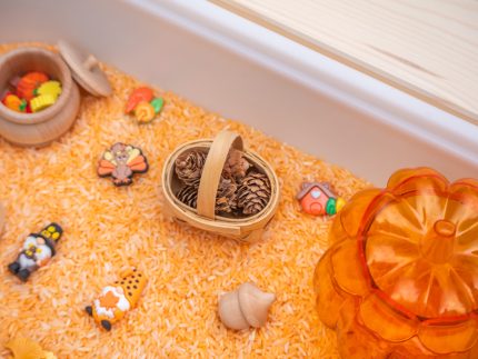 Thanksgiving Sensory Bin - Image 7