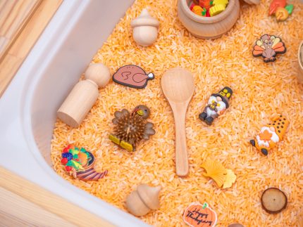 Thanksgiving Sensory Bin - Image 6