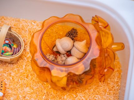 Thanksgiving Sensory Bin - Image 4