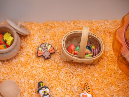 Thanksgiving Sensory Bin - Image 3