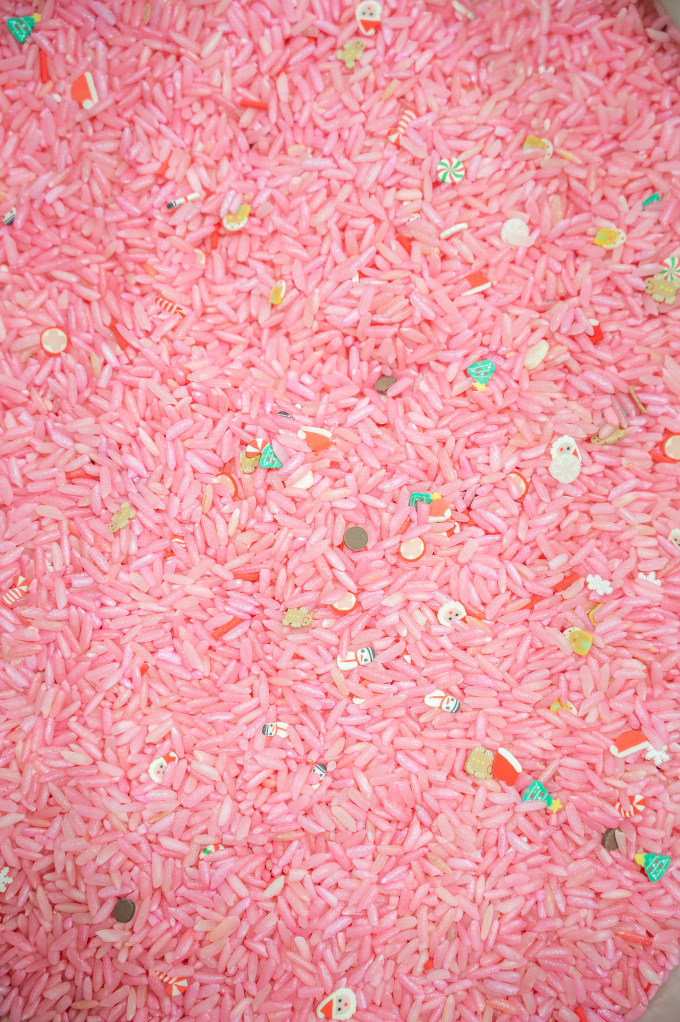 Candy Cane Cottage-9 Candy Cane Cottage Rice - Image 1