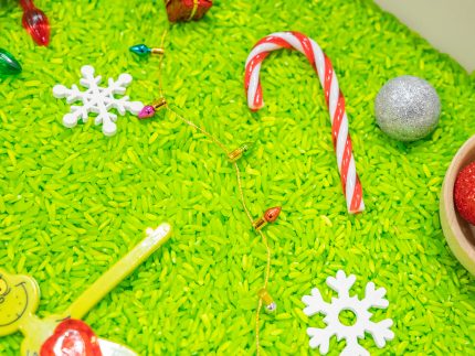 Grinch Sensory Bin - Image 8