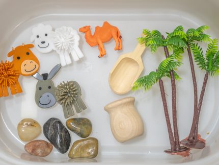 Nativity Sensory Bin - Image 8