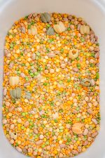 All Natural Fall Filler w/ Pumpkins