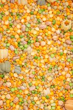 All Natural Fall Filler w/ Pumpkins - Image 2