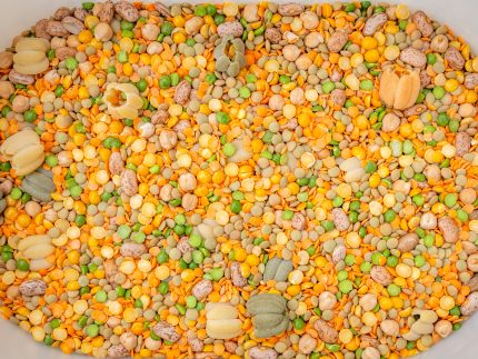 All Natural Fall Filler w/ Pumpkins - Image 3