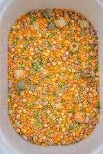 All Natural Fall Filler w/ Pumpkins - Image 4