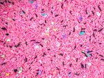 Pastel Haunt Sensory Rice - Image 3
