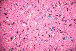 Pastel Haunt Sensory Rice - Image 4