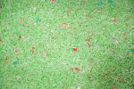 Peppermint Dream Sensory Rice - Image 2