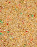 Turkey Thanksgiving Sensory Rice - Image 3