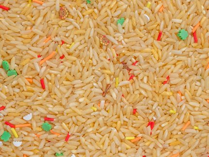 Turkey Thanksgiving Sensory Rice - Image 3