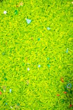 Twinkling Christmas Sensory Rice - Image 4