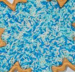 Winter Rice - Image 4