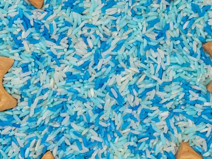 Winter Rice - Image 4