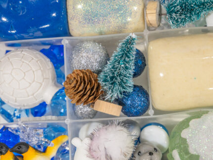 Deluxe Arctic Animal Playdough Kit - Image 6