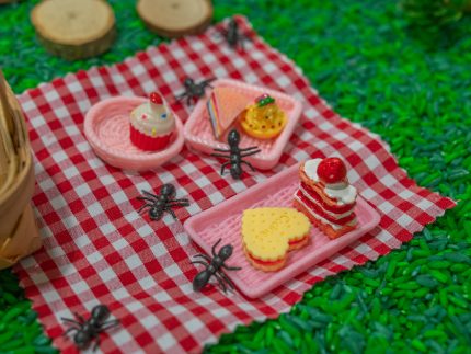 Picnic Sensory Bin - Image 4